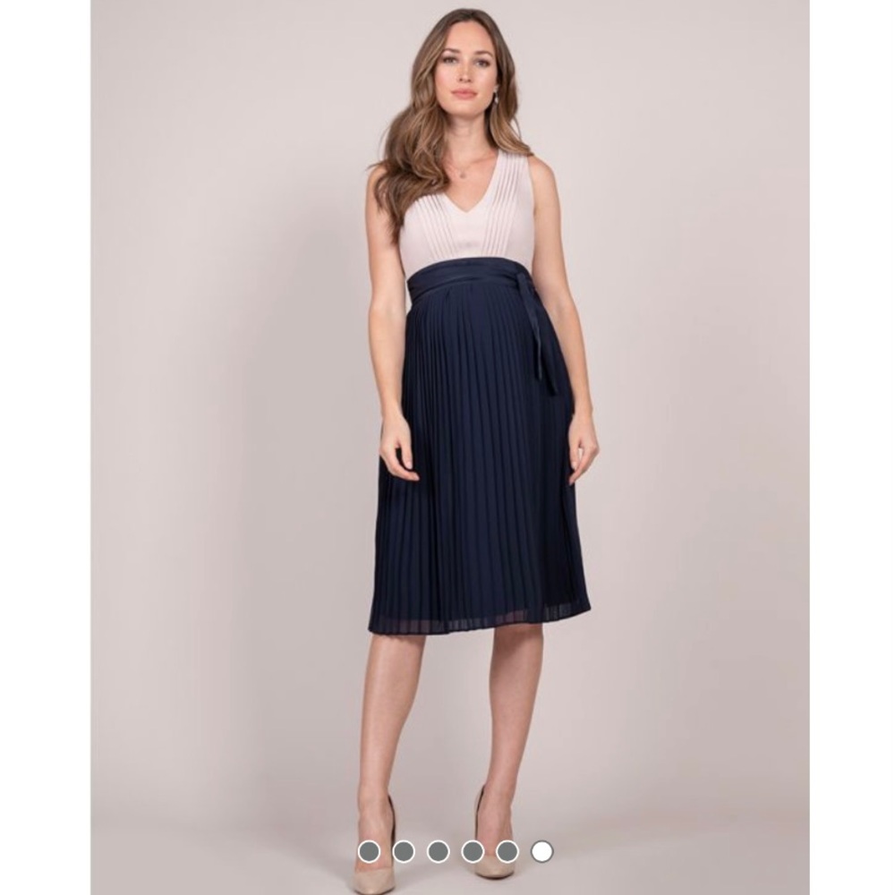 Seraphine Pleated Maternity/Nursing Dress